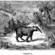 Illustration for article titled Strange 19th Century Drawings of Dinosaurs and Other Extinct Animals